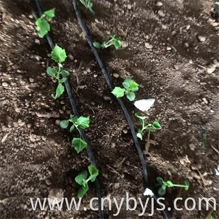 Drip Irrigation 95